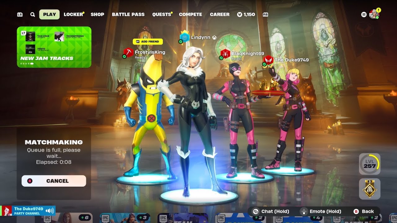 Fortnite -  Black Cat Gameplay