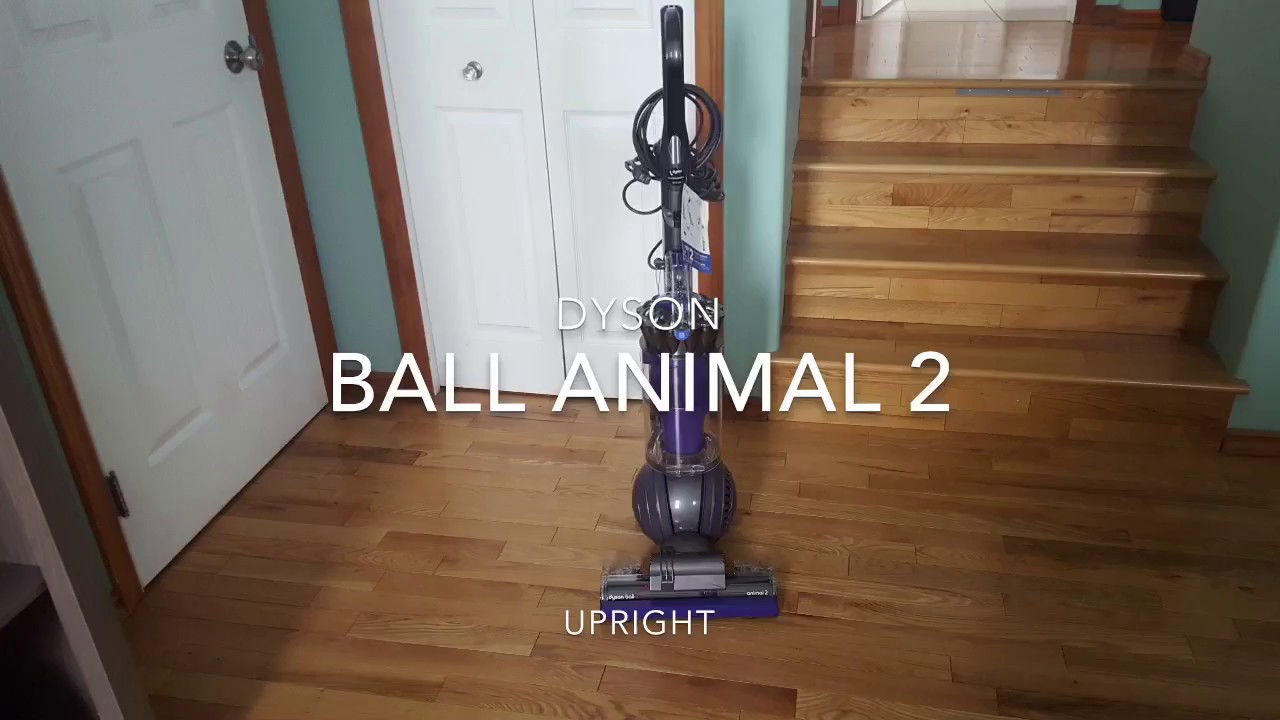 Dyson Ball Animal 2 Attachment Review Youtube