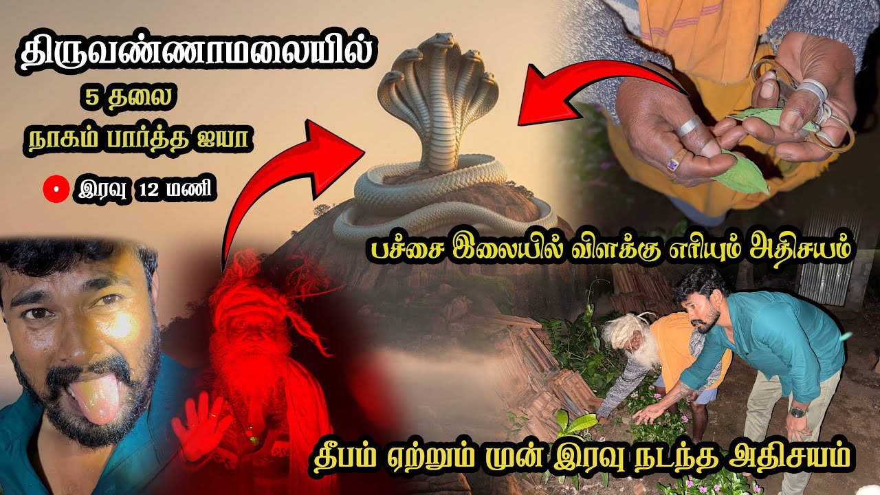 🐍😲😱டேய் ஐந்து தலை நாகம் என் முன்னாடிவந்து நின்னுச்சு,தீபம் இரவு திருவண்ணாமலையில் அதிசியங்கள் ஐயா..