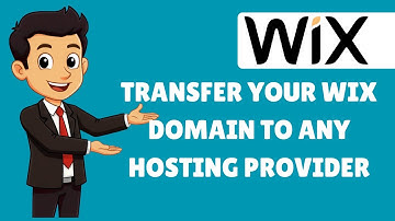 How to Transfer Your Wix Domain to Another Hosting Provider - Complete Guide (2025)