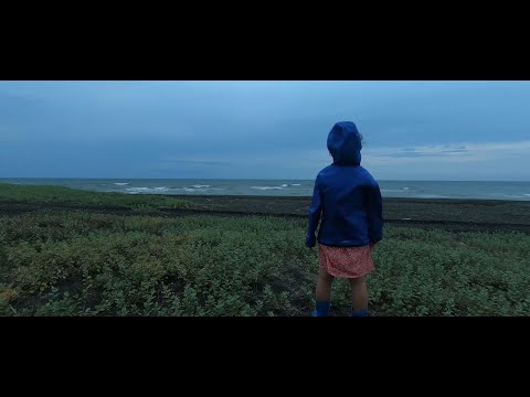 Shekvetili / შეკვეთილი - 2020