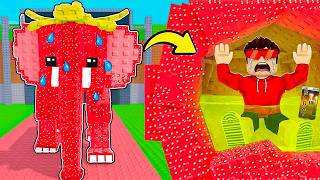 NUNCA ENTRE nos BRAINROTS PROIBIDOS DO ROUBE UM BRAINROT