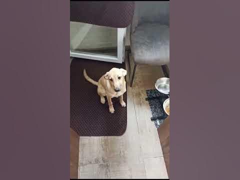 Бубочка-циркачка ☺ - YouTube