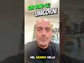 Che cosa sono gli unicorni?