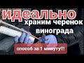 Как сохранить черенки винограда???? Лучшие способы!