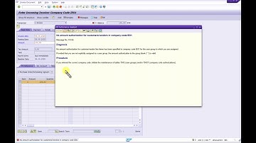 Message No F5155 - No Amount authorization For customers/Vendors in Comp code xxxx