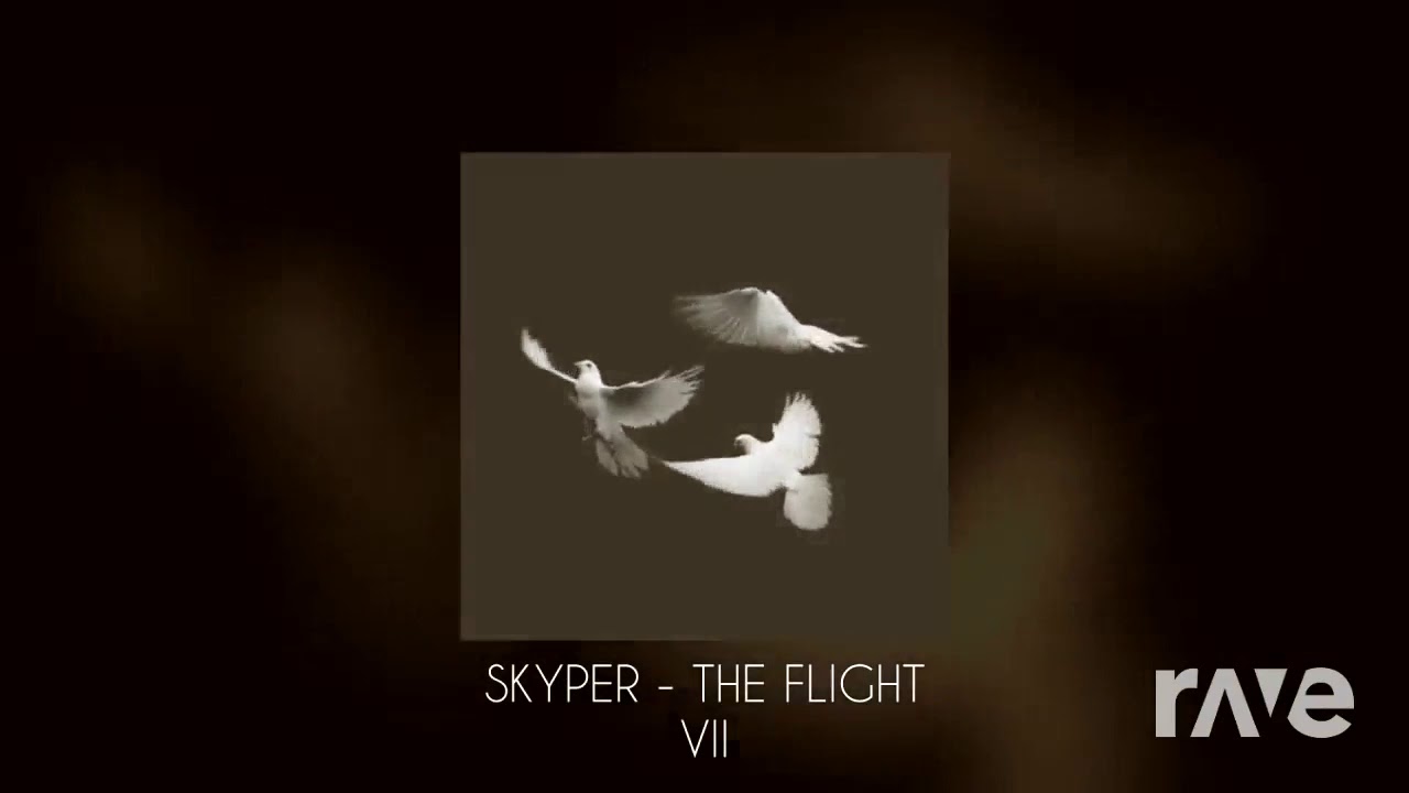 Skyper the flight