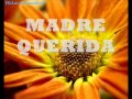 Madre Querida - Seven to Heaven LETRA LYRICS