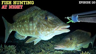 NIGHT SPEARFISHING EPISODE 110 | FISH HUNTING AT NIGHT