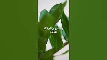 إنه لقرآن كريم في كتاب مكنون 💚... ماهر المعيقلي 🤍 ... سورة الواقعة