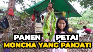 Download Lagu PERKEMBANGAN TERKINI LAHAN BANG IPAN MP3
