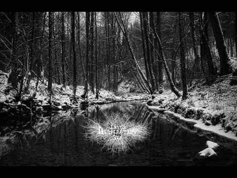 Insomnia Video