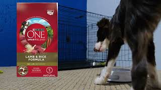 Dry Dog Food Lamb and Rice Formula - 31.1 lb. Bag
