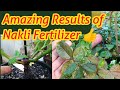 Fertilizer असली है या नकली ,Fertilizer Quality, कौनसा Fertilizer Brand लेना चाहिए