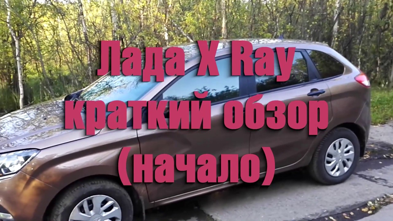 Пищалки лада xray