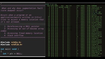 Understanding Segmentation Fault: Process and Memory Space Explained 👩‍💻