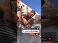 صرخات طفل فلسطيني وبكائه خلال عناقه والده الأسير المحرر من نافذة الحافلة عقب وصوله لقطاع غزة