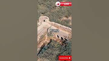 5 Mysterious Facts Science Still Can