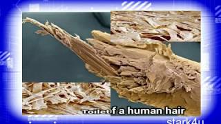 AMAZING PHOTOS OF EVERYDAY OBJECTS UNDER A MICROSCOPE