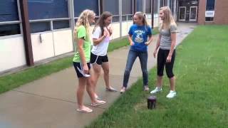 Riemann Sums With The Calc Clan