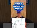 CAPNOGRAPHY PHASES #ems #emtstudent #paramedicstudent #nremt #medical