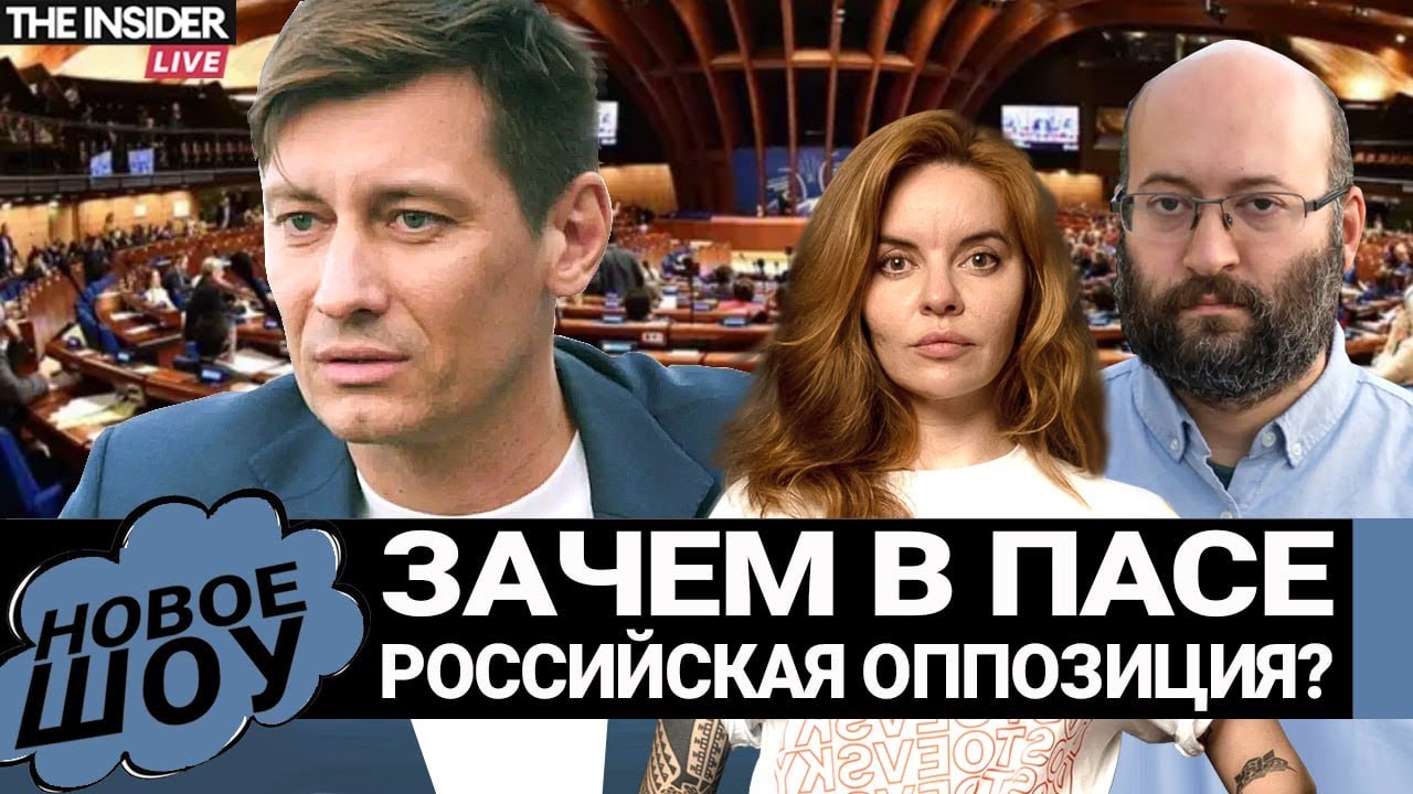 Российская оппозиция в ПАСЕ: зачем это нужно и могут ли участники платформы на что-то повлиять?
