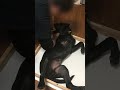 こんなん愛おしいだけやん…