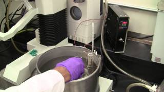 Biodiesel Cloud Point