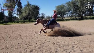 Visita a Rancho Los Palominos, casa de Payaso Rojo Gunner (Parte 1 de 3)