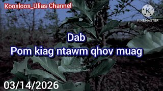 Dab. Pom kiag ntawm qhov muag 03/14/2026