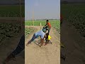 A man is trapped inside a bamboo