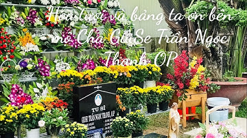 VIẾNG MỘ CHA GIUSE TRẦN NGỌC THANH, OP.