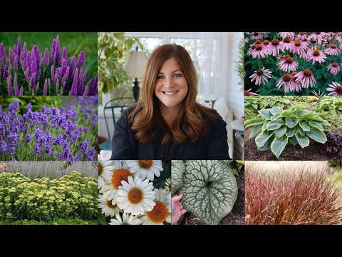 Video: Dodecateon Is A Beautiful Perennial For Your Garden