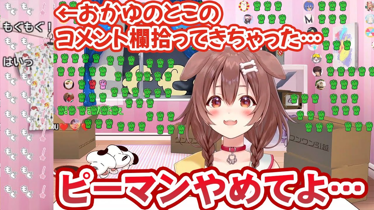 自分の配信におかゆのコメント欄を載せてしまい、ピキピキピーマンを大量発生させる戌神ころね【ホロライブ切り抜き】