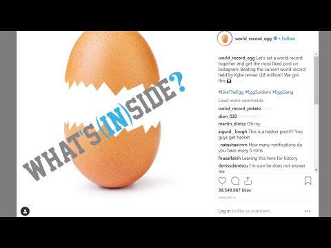What's inside the world record egg?