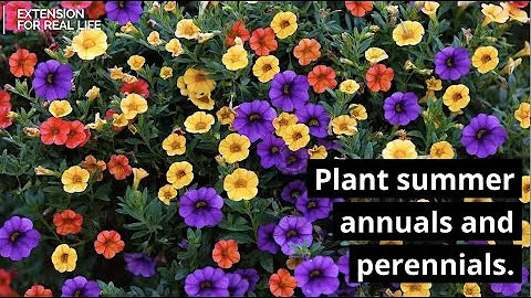 Gardening Tasks for May - DayDayNews
