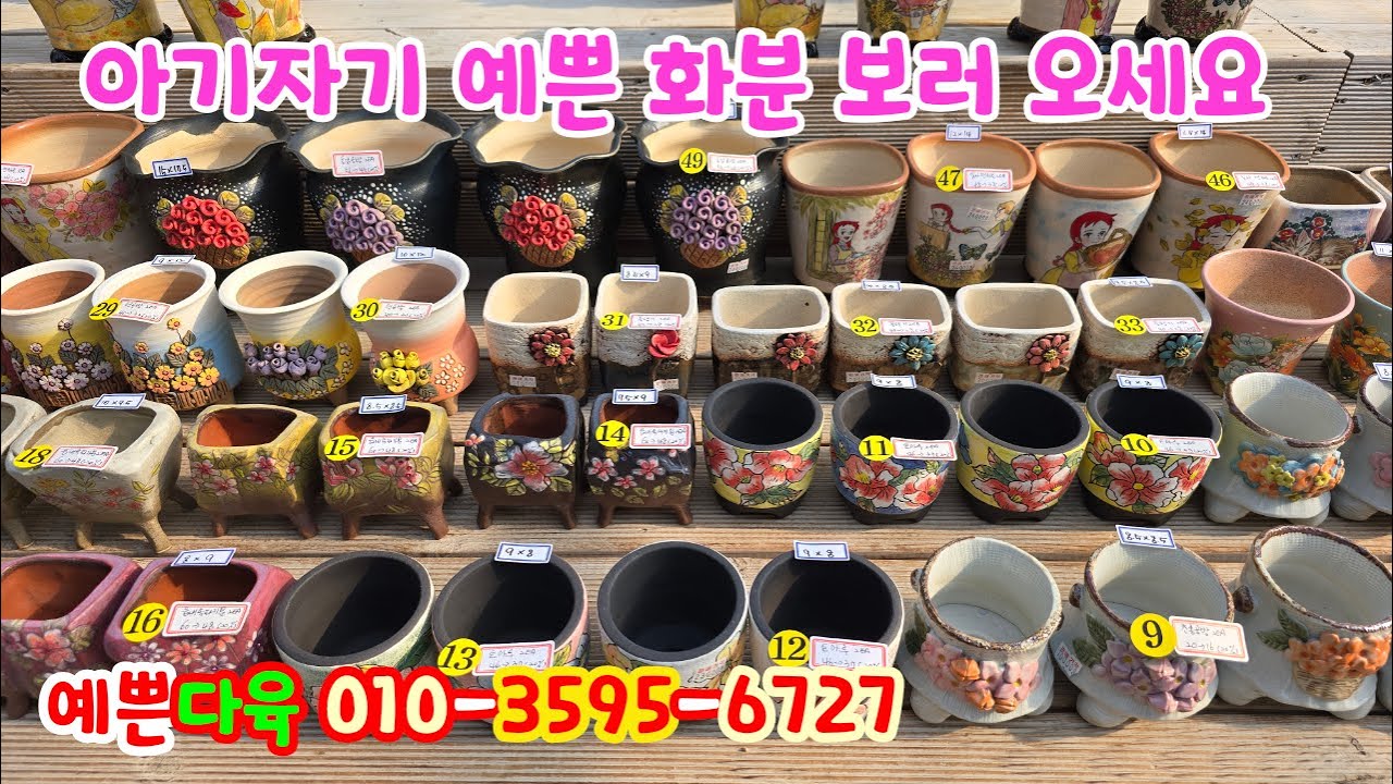 260126📍#예쁜다육 길분 일사분 언화분 산토방분 초롱분 토마루분 읍내분 누누분 본토분 강천분 꽃향기분 돌담분 흙고집분 해령분