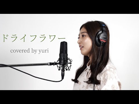 ドライフラワー / 優里　covered by 南　侑里　【歌ってみた】