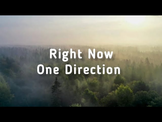 Right Now - One Direction (Lyrics) class=