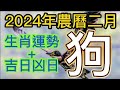 【古柏論命每月運勢+吉日凶日】2024年農曆二月(陽曆2024年3/10 ~ 4/8)生肖運勢分享 -  狗