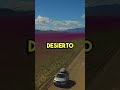 El desierto de Atacama en Chile se llena de flores 🤔🏜️ #shorts