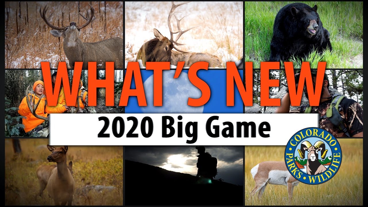 What s New 2020 Colorado Big Game Hunting YouTube