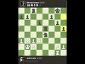 Attila Czebe Outplays Michael Adams! 🤯 | Tactical Masterclass