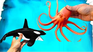 Learn Colors With Animals In Blue Pool Water - Learn Sea Animal Names And Learn Colors