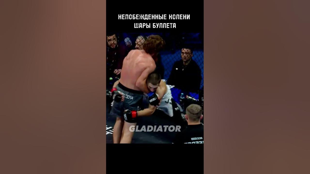 Шара троколи полный бой. 25 смешных моментов мма и бокс. Шара троколи полный бой. Шара троколи полный бой. Шара троколи полный бой.