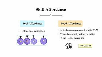 SAVOR: Skill Affordance Learning from Visuo-Haptic Perception for Robot-Assisted Bite Acquisition