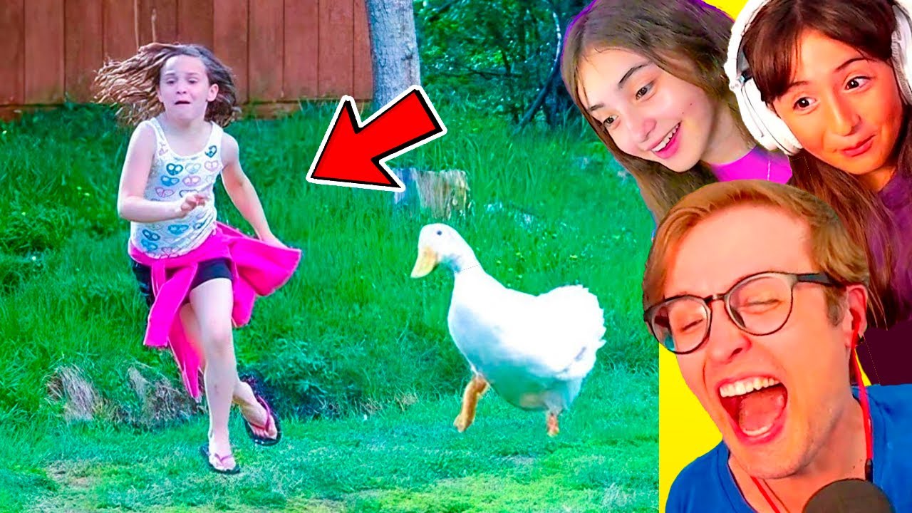 MINHAS FILHAS NÃO VÃO PASSAR NESSE TESTE! OS SHORTS MAIS ENGRAÇADOS no TENTE NÃO RIR SUPREMO!