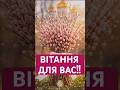 З вербною неділею вас Yaskrava UA Найкращі вітання українськамузика новамузика 