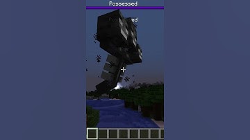 Holding A WITHER with 1 COMMAND! (Read Description)