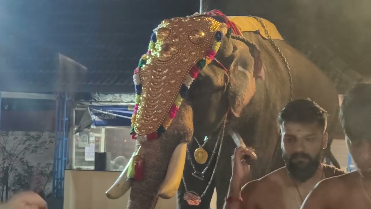 അയ്യപ്പൻകാവ് പൂരം 